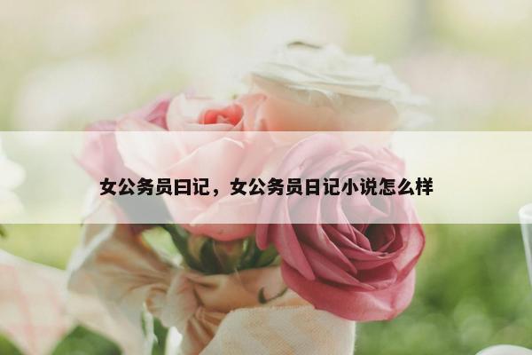 女公务员曰记，女公务员日记小说怎么样