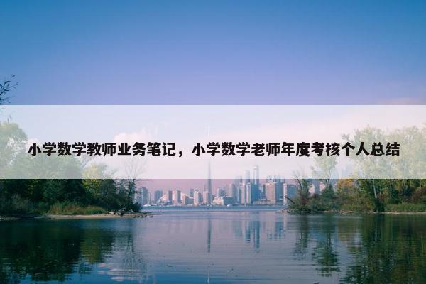 小学数学教师业务笔记，小学数学老师年度考核个人总结