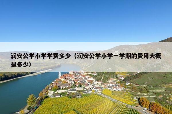 润安公学小学学费多少（润安公学小学一学期的费用大概是多少）