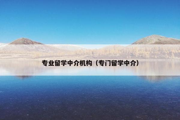 专业留学中介机构（专门留学中介）