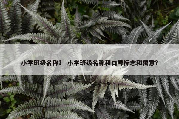 小学班级名称？ 小学班级名称和口号标志和寓意？
