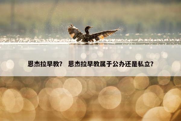 恩杰拉早教？ 恩杰拉早教属于公办还是私立？