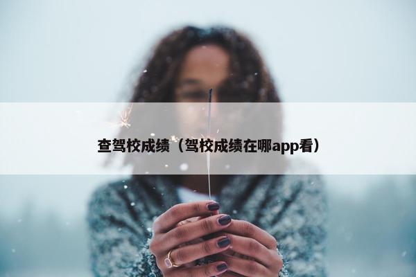 查驾校成绩（驾校成绩在哪app看）