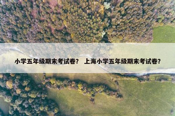 小学五年级期末考试卷？ 上海小学五年级期末考试卷？