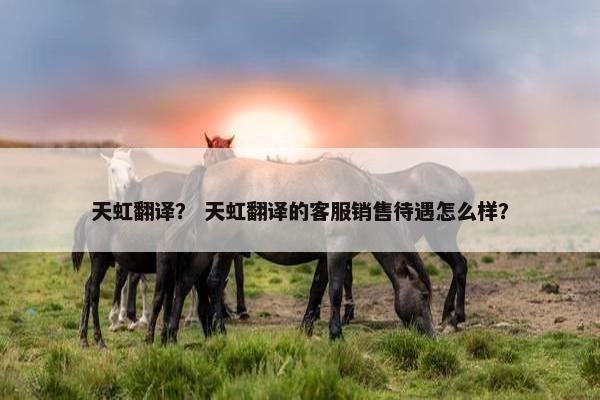 天虹翻译？ 天虹翻译的客服销售待遇怎么样？
