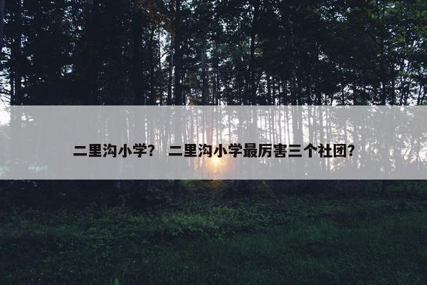 二里沟小学？ 二里沟小学最厉害三个社团？