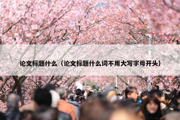 论文标题什么（论文标题什么词不用大写字母开头）