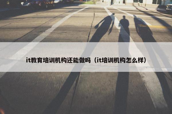 it教育培训机构还能做吗（it培训机构怎么样）