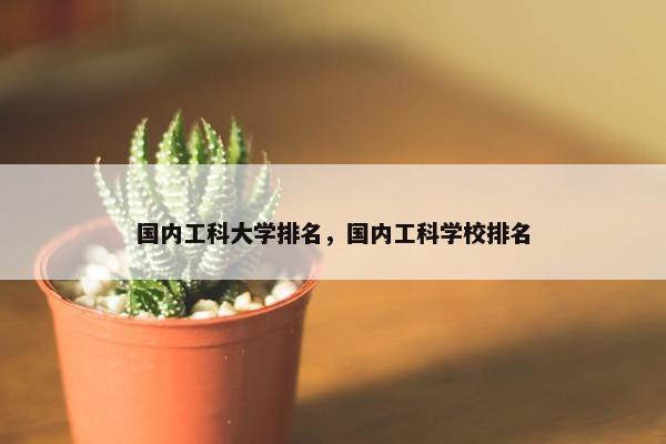 国内工科大学排名，国内工科学校排名