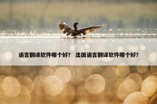 语言翻译软件哪个好？ 出国语言翻译软件哪个好？