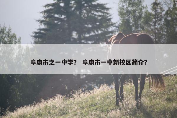 阜康市之一中学？ 阜康市一中新校区简介？