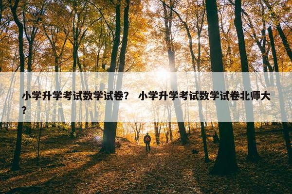 小学升学考试数学试卷？ 小学升学考试数学试卷北师大？