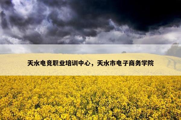 天水电竞职业培训中心，天水市电子商务学院