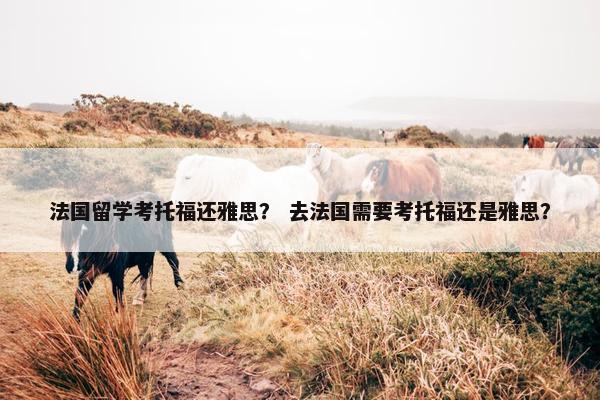 法国留学考托福还雅思？ 去法国需要考托福还是雅思？