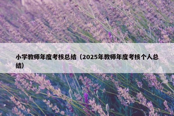 小学教师年度考核总结（2025年教师年度考核个人总结）