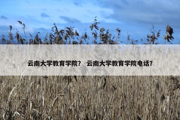 云南大学教育学院？ 云南大学教育学院电话？