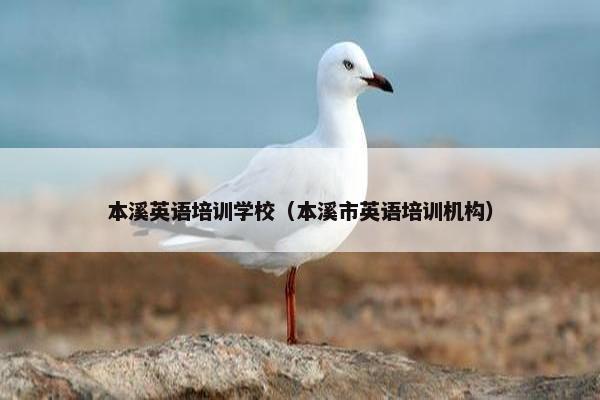 本溪英语培训学校（本溪市英语培训机构）