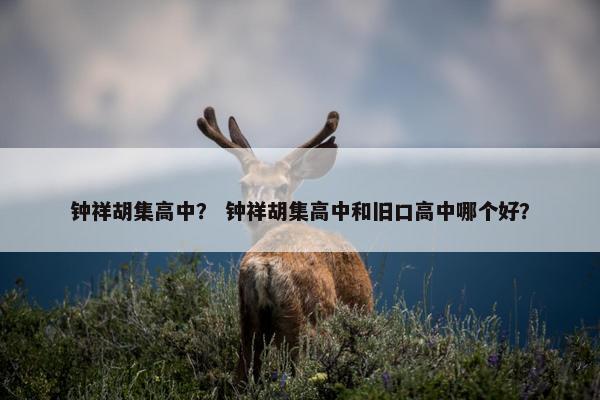 钟祥胡集高中？ 钟祥胡集高中和旧口高中哪个好？