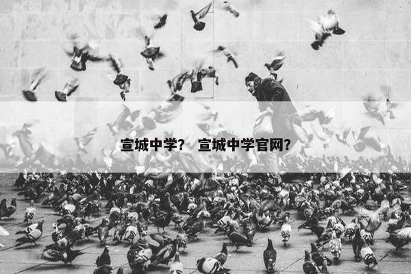 宣城中学？ 宣城中学官网？
