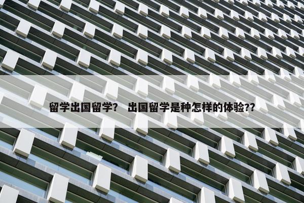 留学出国留学？ 出国留学是种怎样的体验?？