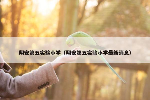 翔安第五实验小学（翔安第五实验小学最新消息）