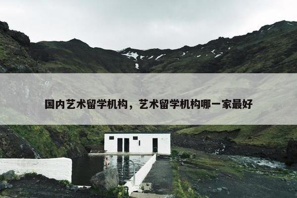 国内艺术留学机构，艺术留学机构哪一家最好