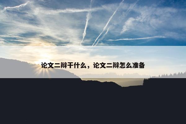 论文二辩干什么，论文二辩怎么准备
