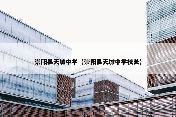 崇阳县天城中学（崇阳县天城中学校长）