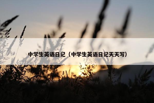 中学生英语日记（中学生英语日记天天写）