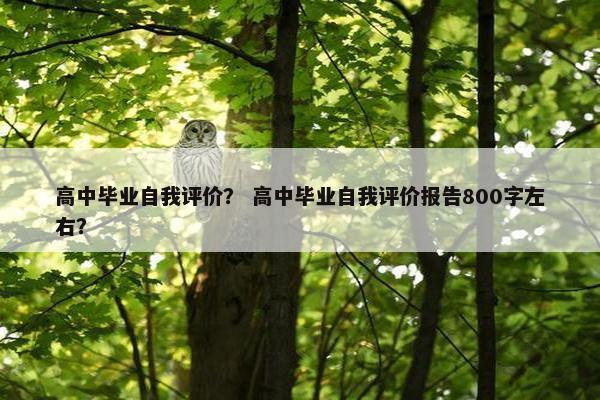 高中毕业自我评价？ 高中毕业自我评价报告800字左右？