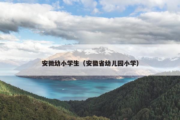 安微幼小学生（安徽省幼儿园小学）