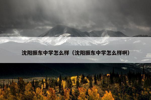 沈阳振东中学怎么样（沈阳振东中学怎么样啊）