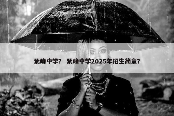 紫峰中学？ 紫峰中学2025年招生简章？