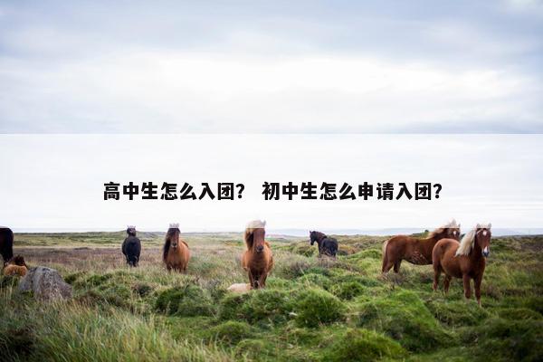 高中生怎么入团？ 初中生怎么申请入团？