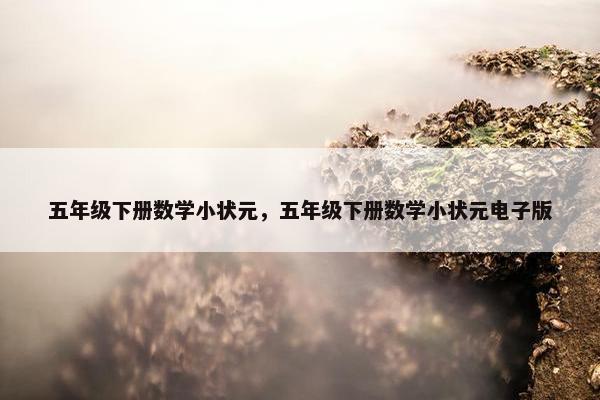 五年级下册数学小状元，五年级下册数学小状元电子版