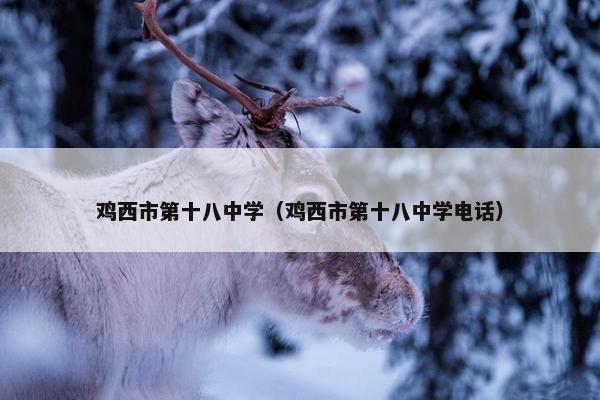 鸡西市第十八中学（鸡西市第十八中学电话）