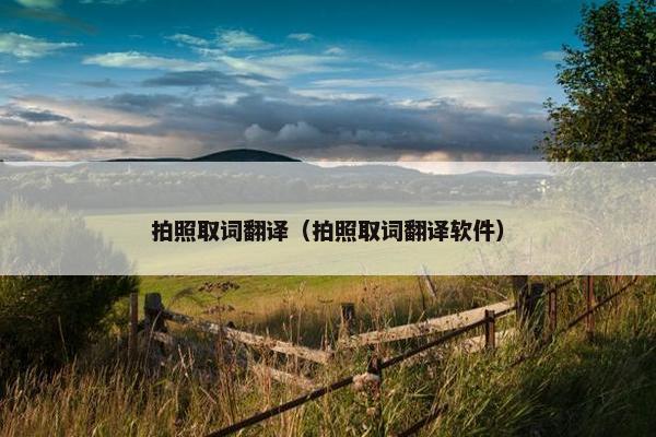 拍照取词翻译（拍照取词翻译软件）