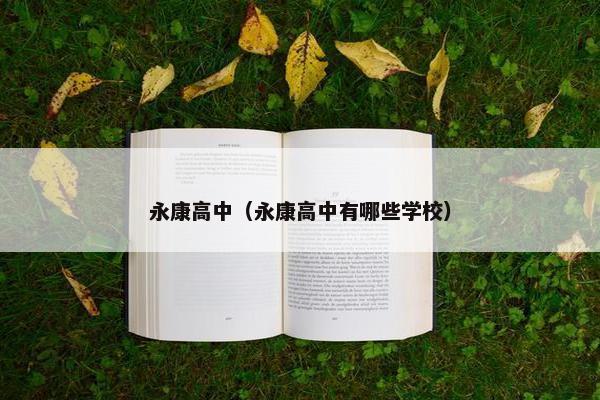 永康高中（永康高中有哪些学校）