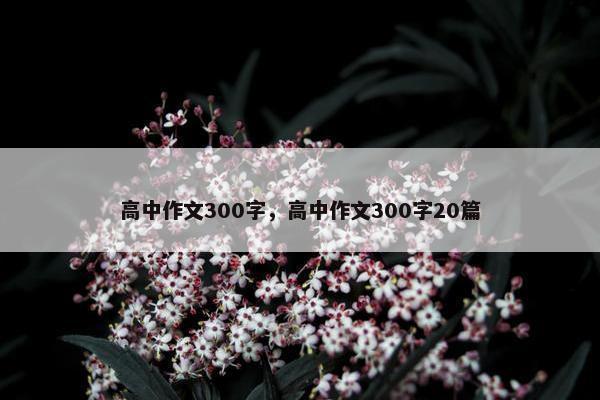 高中作文300字，高中作文300字20篇