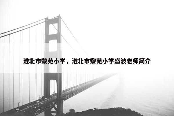 淮北市黎苑小学，淮北市黎苑小学盛波老师简介