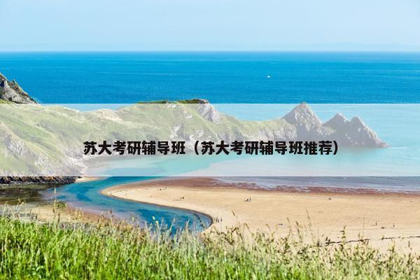 苏大考研辅导班（苏大考研辅导班推荐）