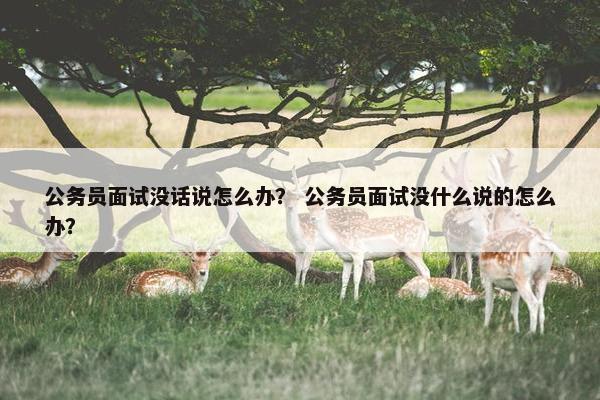 公务员面试没话说怎么办？ 公务员面试没什么说的怎么办？