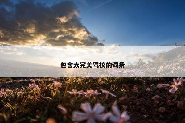 包含太完美驾校的词条