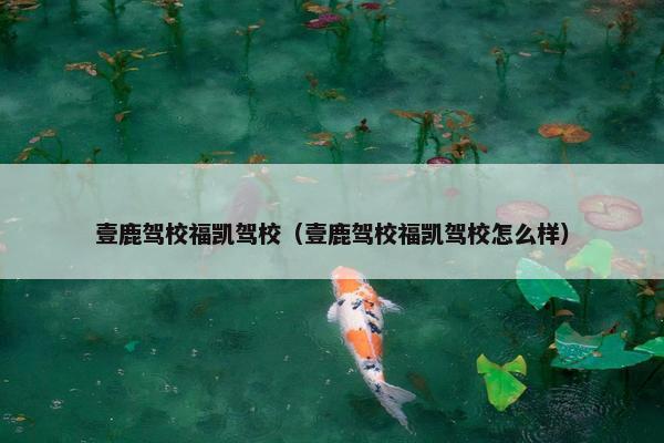 壹鹿驾校福凯驾校（壹鹿驾校福凯驾校怎么样）