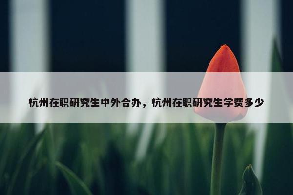 杭州在职研究生中外合办，杭州在职研究生学费多少