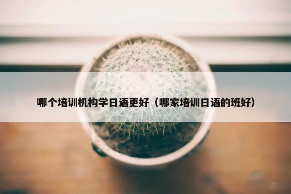 哪个培训机构学日语更好（哪家培训日语的班好）