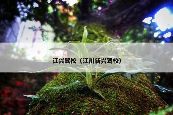 江兴驾校（江川新兴驾校）