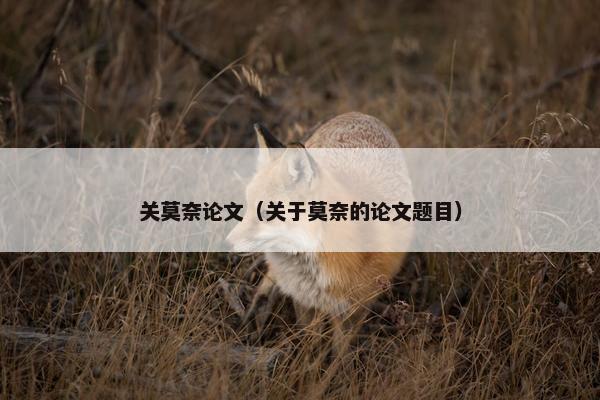 关莫奈论文（关于莫奈的论文题目）