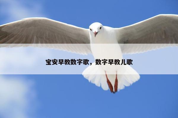 宝安早教数字歌，数字早教儿歌