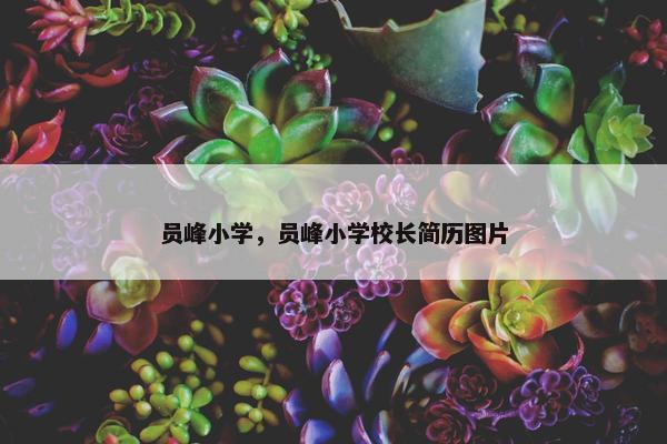 员峰小学，员峰小学校长简历图片